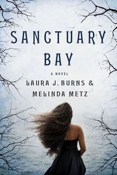 Sanctuary Bay Book Cover
