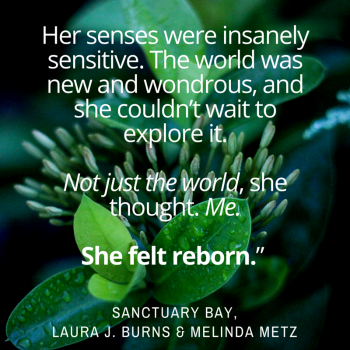 Sanctuary Bay Quote